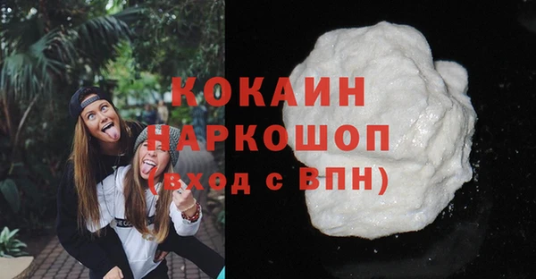 прущие грибы Алексин