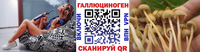Купить закладки  Шилка  Галлюциногенные грибы ЛСД 